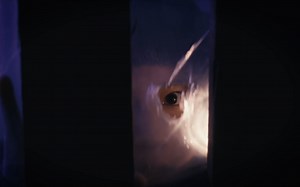 FIRST FRAME第一帧单元短片《海底世界》预告片