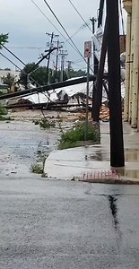 379K views · 3.5K reactions | DOWNTOWN GREENVILLE DAMAGE: A FOX4 viewer sent us this video of downed power lines, broken trees and extensive damage in downtown Greenville after a reported tornado hit the area. bit.ly/2Lah7i3 (Video: Tina Reynolds) | FOX 4 News | Facebook