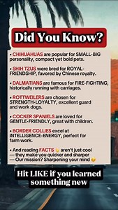 19K views · 144 reactions | Fascinating Dog Breed Facts #facts #fblifestyle #reelsfypシ | Time Facts | Facebook
