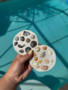 Sea Shell Coasters |handmade|natural Seashells|eco-friendly - Etsy