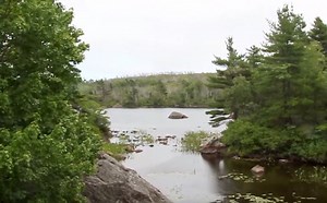 Why the Halifax Green Network plan matters