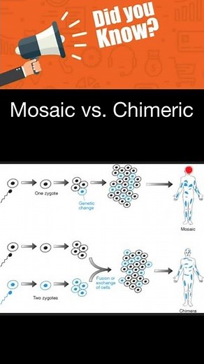 Mosaic vs. Chimeric