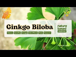 Ginkgo Biloba (Maidenhair tree) Health Benefits, Dosage, Side Effects and Research #ginkgobiloba