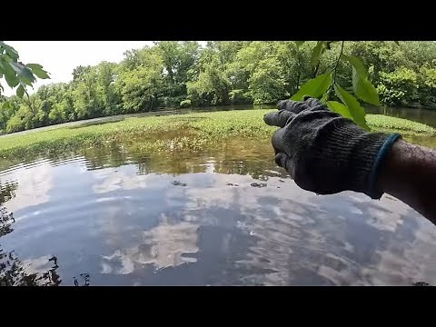 Searching The River With My Metal Detector