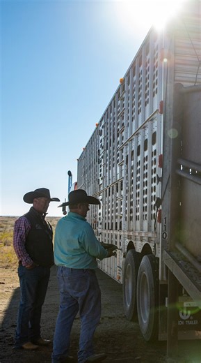 5.6K views · 44 reactions | In 1994, Superior Livestock Auction...