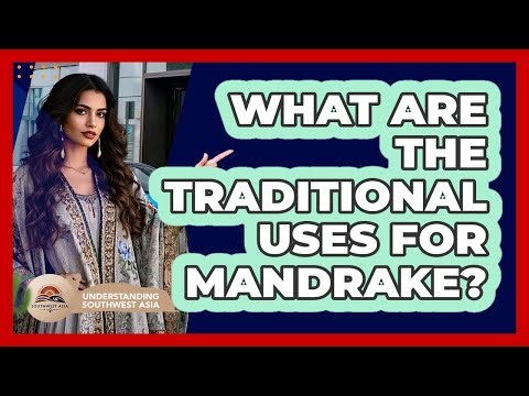What Are The Traditional Uses For Mandrake?