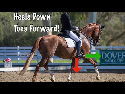 Dressage Rider Leg Position - Keep your Heels Down and Toes Forward