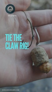 31K views · 164 reactions | Angling Lines - Carp Fishing in France on Reels | Facebook