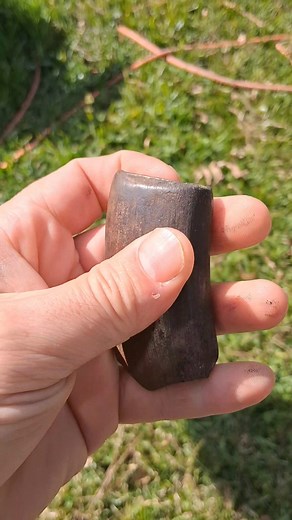 Megalonyx Jeffersonii giant ground sloth tooth I found diving in a north Florida river!! Absolutely one of my favorite fossils in my collection!!🔥🌴☀️😎 🦥 #fossilhunting #florida #iceage #floridaliving #scuba #fossils #peaceriver #sloth | Edward Roberts