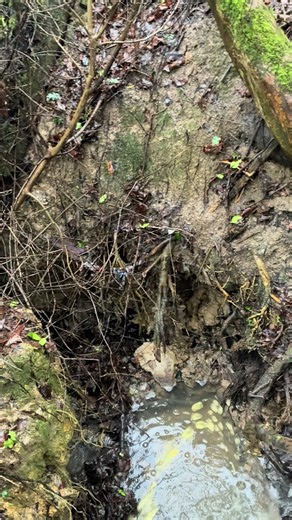 Majestic Views at Bay Harbour: A Scenic Adventure