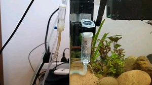 So I made a DIY CO2 diffuser. Is the size of the bubbles just right or do I need a better material for diffusing the CO2? I just jammed a cotton ball in the syringe.