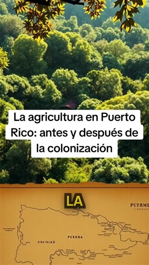 Puerto Rico hidden history Unknown Puerto Rico facts Puerto Rico conspiracy stories Taíno history Puerto Rico Puerto Rico secret tunnels Puerto Rico pirates history Vieques Navy controversy Puerto Rico colonial past El Yunque mysteries Ponce massacre history #puertorico #puertorico🇵🇷 #viral #fyp #like