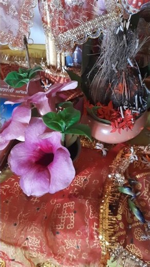 Devi bhajan#viral song#devotionalsong