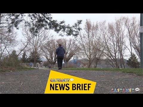 Pitbull attack kills Chihuahua