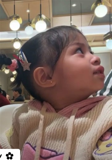 Celebrating Princess Lily: A Heartwarming Tribute