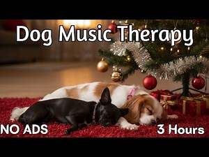 Dog Music Therapy: 3 Hours of Gentle Classical Piano to Soothe Anxious Pets [NO ADS]