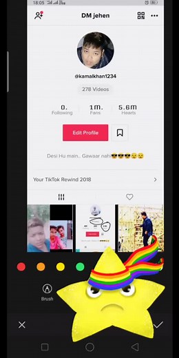 tik tok auto liker