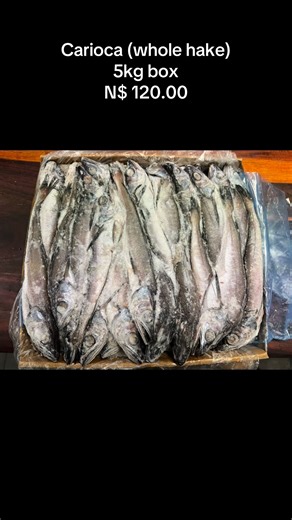 Carioca (Whole Hake) 5kg Box now available in store 🥳🥳 N$ 120.00 📍 Visit us at New Wernhil Shopping Mall, on the ground floor (below food lovers) 📞 264 811411222 / 264 811411777 Or 📍Windhoek (Northern Industrial Area) 38 New Castle Street 📞081 159 9777 · 061 233 012 #everyonehighlightsfollowerseveryonehighlightsfollowerseveryone #WindhoekDeals #peoplesfishmarket #MonthEndSavings #SupportLocalNamibia #goviralvideo #namibiatravel #foodblogger #Namibia #SeafoodLovers #Katutura #khomasdal #hak