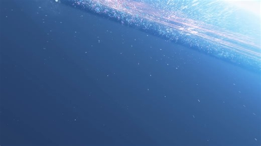 19K views · 57 reactions |  A blender than can do almost anything? Sign. Us. Up. Cook up a storm with our All-in-One Processor and Soup Maker, featuring a powerful blender, food processor, juice extractor and multiple cooking programs all in one for ease of use. On sale this Wednesday 17 July, https://to.aldi.in/4cYYqqW | ALDI Australia | Facebook