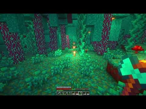 Minecraft - Java - Playthrough 9993 - Video 8