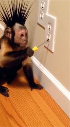 Galat Jagah Screwdriver Laga Di 😂 #funny #youtubeshorts