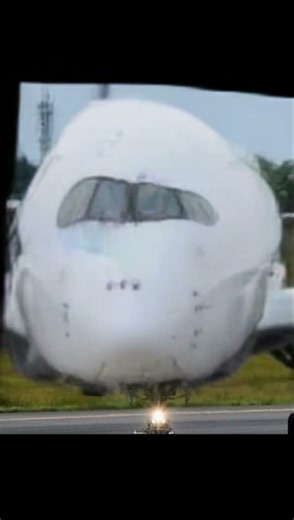 DAME DA NE! ✈️😭 Airbus A350 Sings "Baka Mitai" (Yakuza Meme)