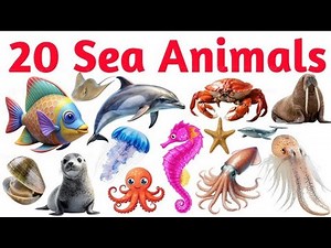 Names of Aquatic Creatures | 20 Sea Animals in English l Ocean Creatures Learning Video for Kids#...