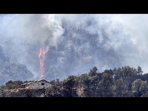 Algérie : des incendies font des centaines de sans-abri