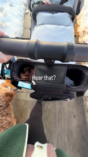 Spring is coming!!!! Hang in there!!! 🌼🌷🌸🌺🌷🦋