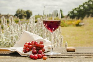 What Is a Varietal? Definition and Meaning in the Wine World | LoveToKnow