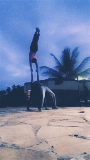 just #acrobatics #pushpa #foryou #train #pushu #viral #vibes #health #yeshua #usa #yes #1k #germany