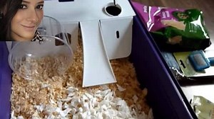 4.5K views · 31 reactions | Setting up my hamster cage and unboxing my new hamster. I will also be showing you items you need to set up your hamster cage. wonderfulpets2018@gmail.com | DIY Hamster | Facebook