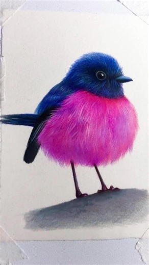 Bird Drawing Tutorial with Color Pencils