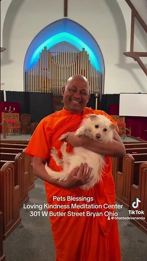 Pets Blessings Loving Kindness Meditation Center Bryan Bowling Green Toledo Defiance Lima Ohio