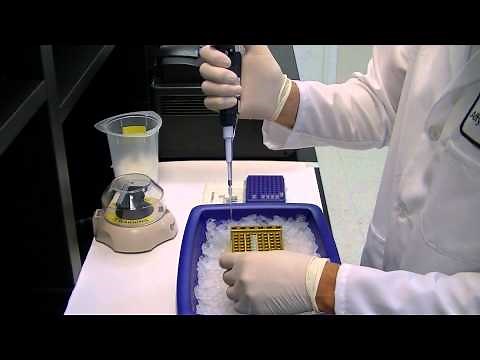 ExoSAP-IT Reagent -- enzymatic PCR cleanup with no sample loss