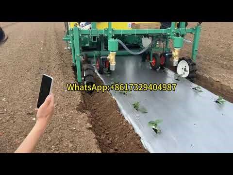 Vegetable Seedling Transplanter