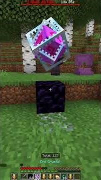 How I play Lifesteal Smp...