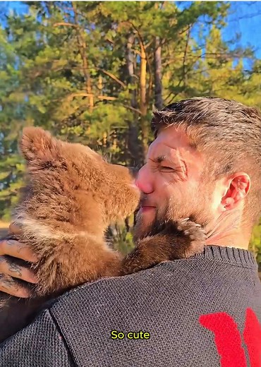 Adopting a Lonely Bear Cub: A Heartwarming Journey