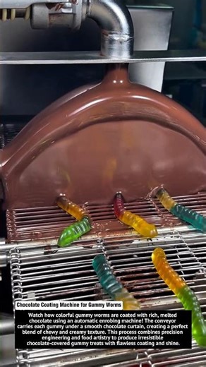 Chocolate Coating Machine for Gummy Worms 🍫🐛 – Amazing Candy Production Line!