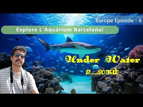 Exploring L’Aquàrium Barcelona: Europe’s Marine Wonderland! [4K] | Europe Episode - 6