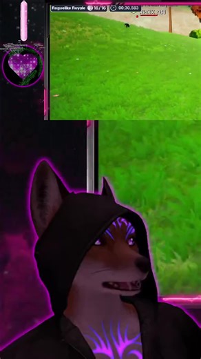 #therealfluffymuffin on #Twitch | #therealfluffymuffin on #Twitch | Sham Dive! | Full Muffin Dive On Stream @TheRealFluffyMuffin @S...