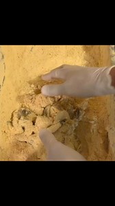 Classic Shrimp Basket 🍤 | Cone Heads 8020