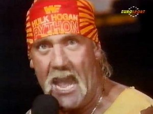 Hulk Hogan Interview On Superstars 91