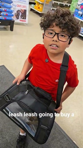 petsmart haul for max 🐕