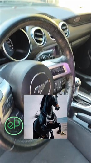 El Poderoso !!??? Mustang 🐎 🫣 | El Panin Auto Diagnostics