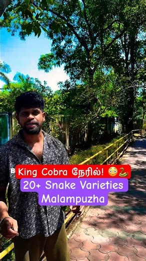 I saw a King Cobra in person 👑🐍 | Malampuzha trip 🌊🔥