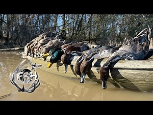 This Duck Hunt Was INSANE | Easy pintail LIMITS!