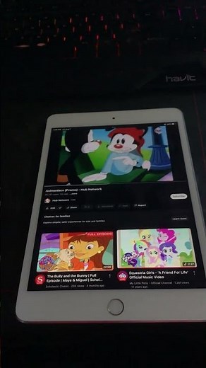 Animaniacs (Promo) - Hub Network