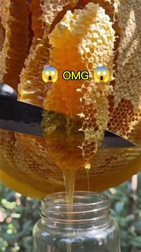 Golden honey dripping straight from nature🍯🐝#honey #purehoney #honeycomb#bees #beehive #honeyharvest
