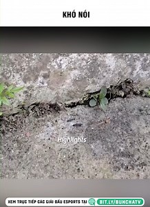 1M views · 19K reactions | t thề là nó vừa ở đây ngay đây #fyp #xuhuong #viral #trending | Highlights | Facebook